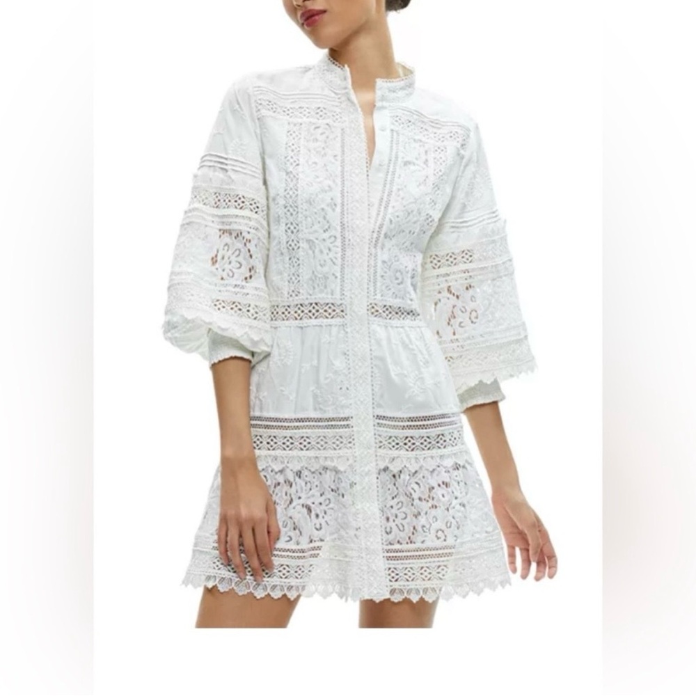 Alice + Olivia Women’s Cailin Embroidered Minidress in Size Small